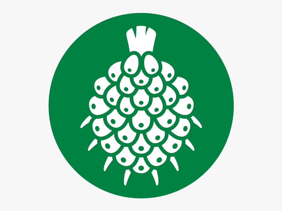 Palm Oil Icon Png, Transparent Clipart