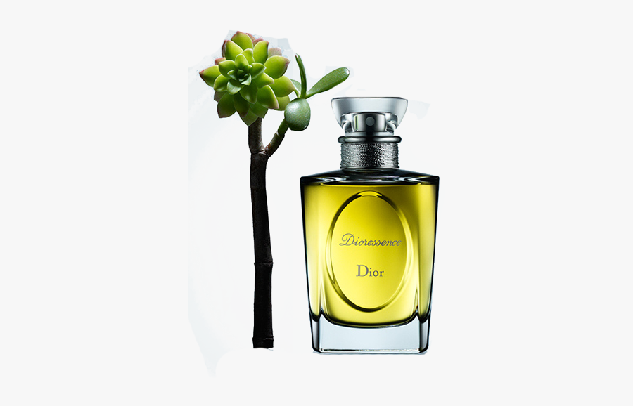 Oil Christian Chanel Designer Dior Perfume Essential - Perfume, Transparent Clipart