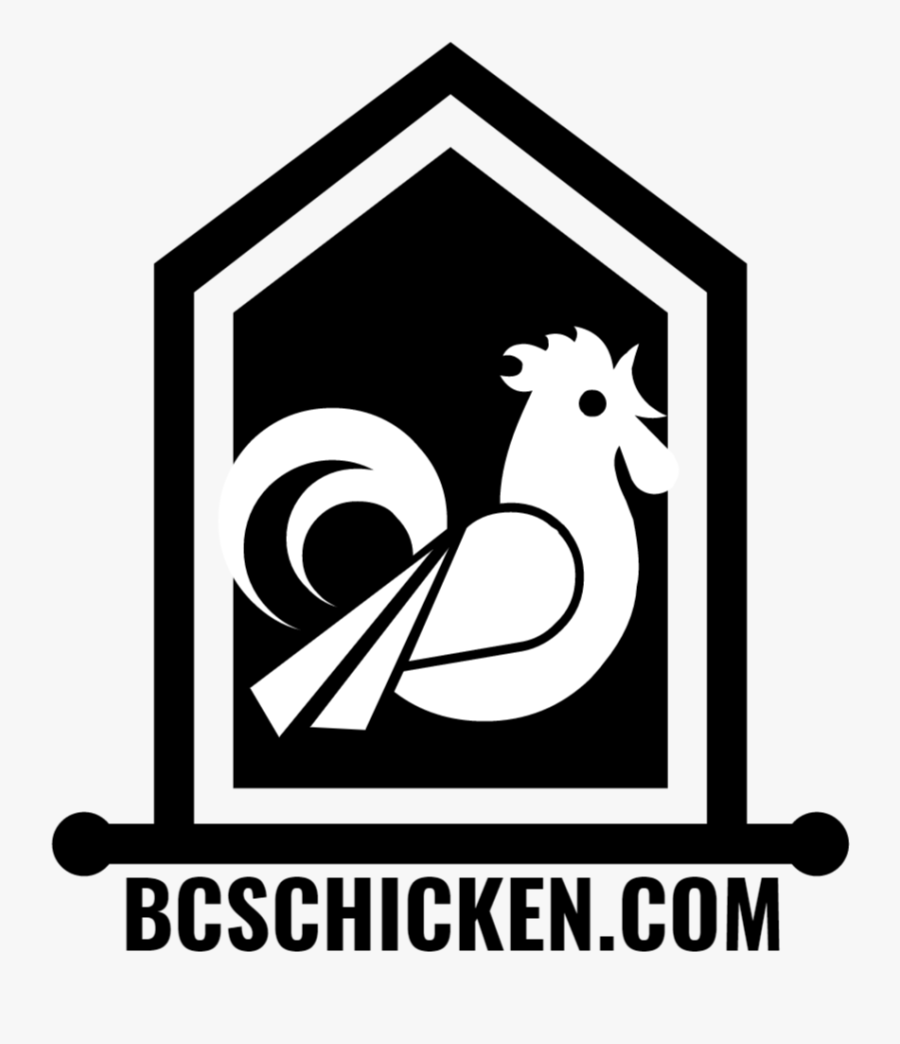 Rooster, Transparent Clipart