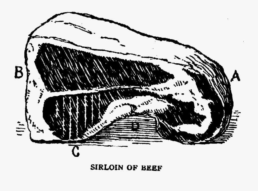 Sketch, Transparent Clipart