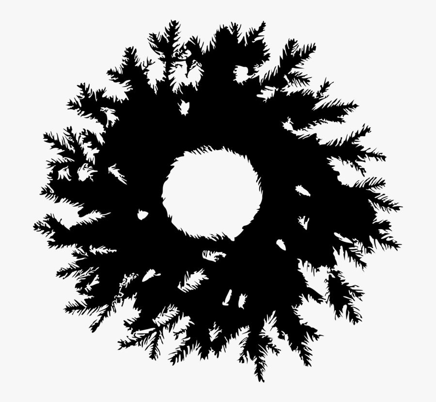 Pine Family,silhouette,leaf - Illustration, Transparent Clipart