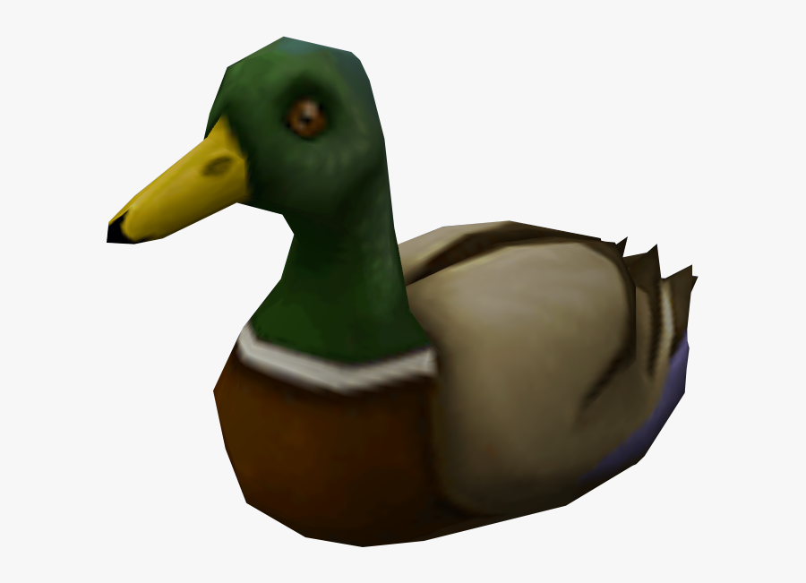 Lake Clipart Duck Pond - Mallard, Transparent Clipart