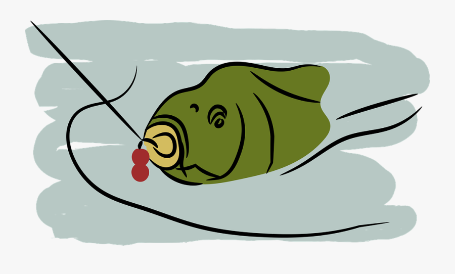 Boilie Carp Pond Fishing, Transparent Clipart