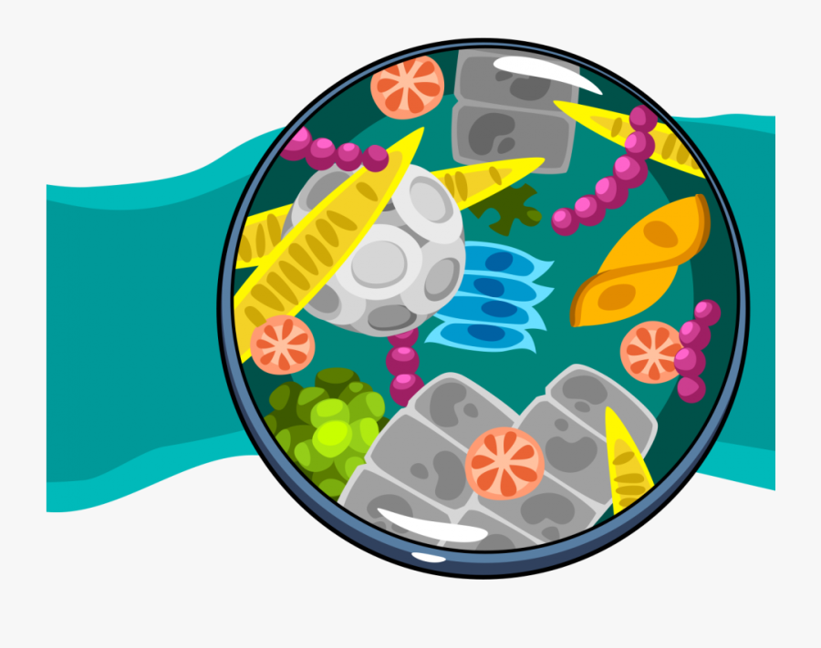 Plankton Web Activity Ask A Biologist Planktonic - Plankton, Transparent Clipart