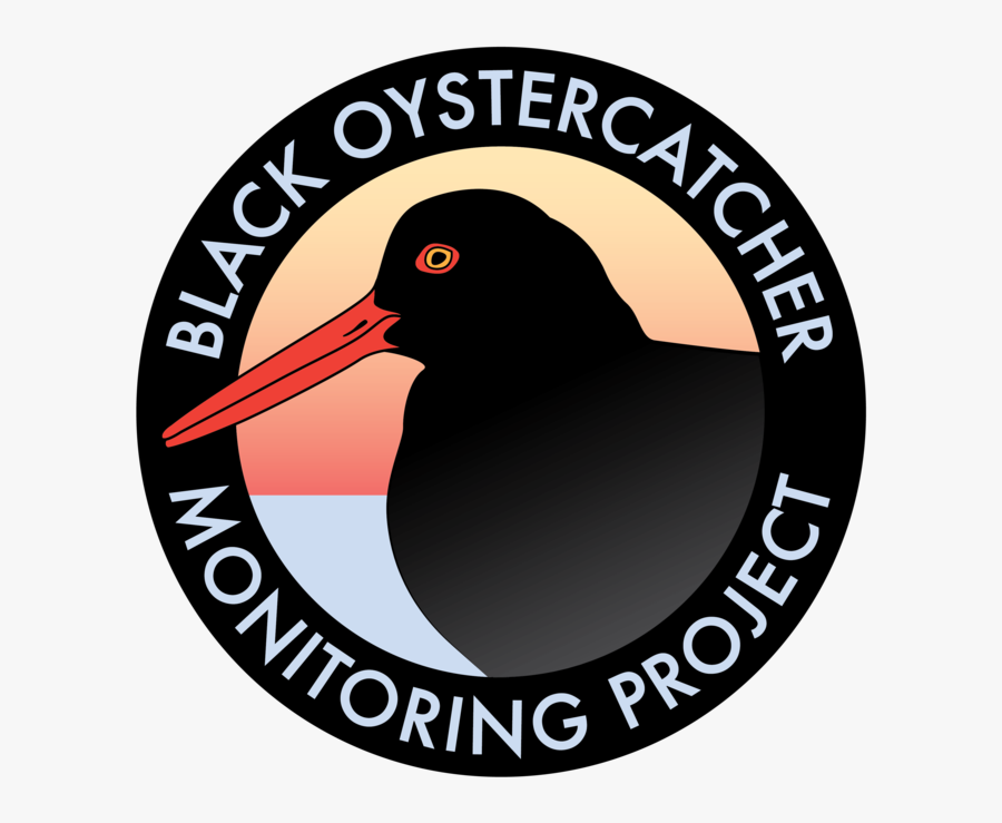 Diver Clipart Marine Biologist - National Coalition Party, Transparent Clipart