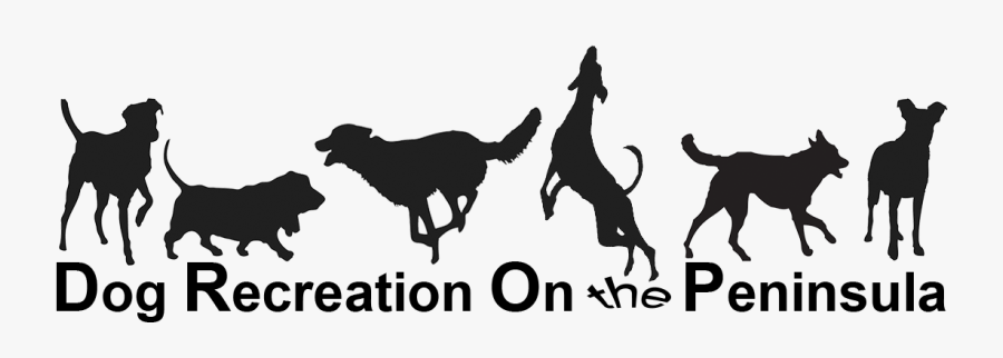 Food Bank Fundraiser, Saturday, August - Dog Catches Something, Transparent Clipart