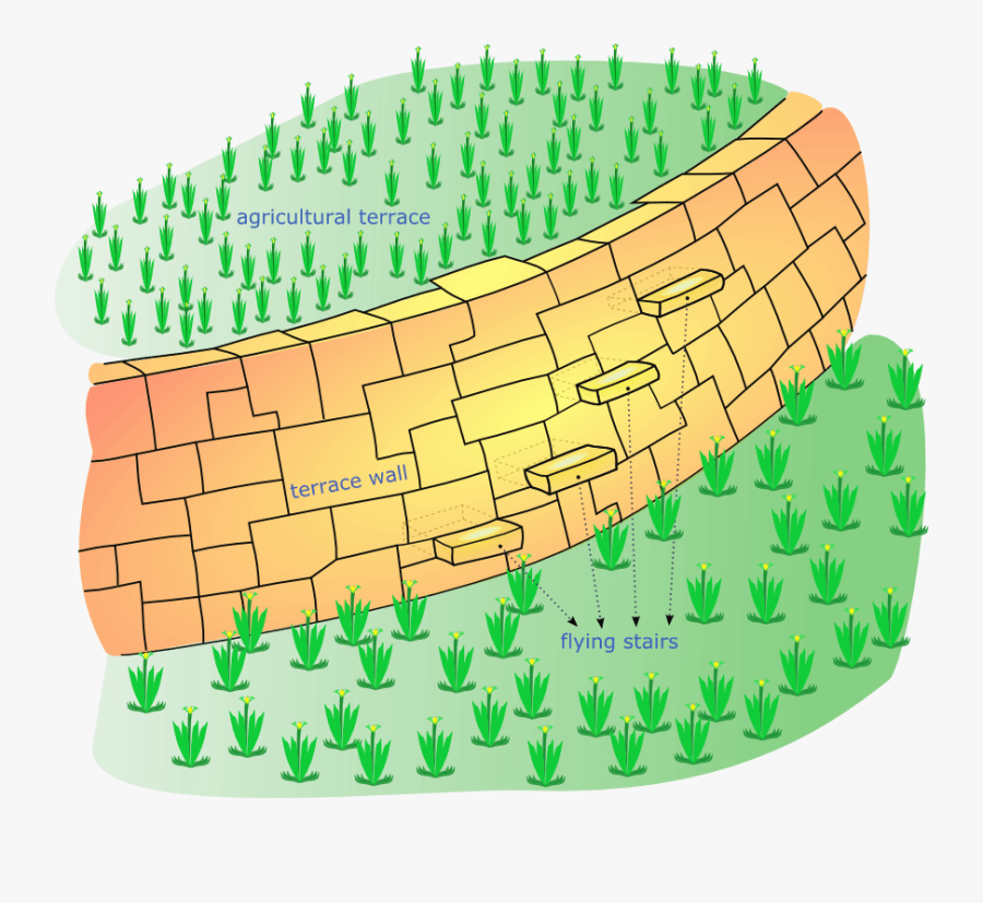 Terrace - Increased Economic Productive Capacity And Its Consequences, Transparent Clipart