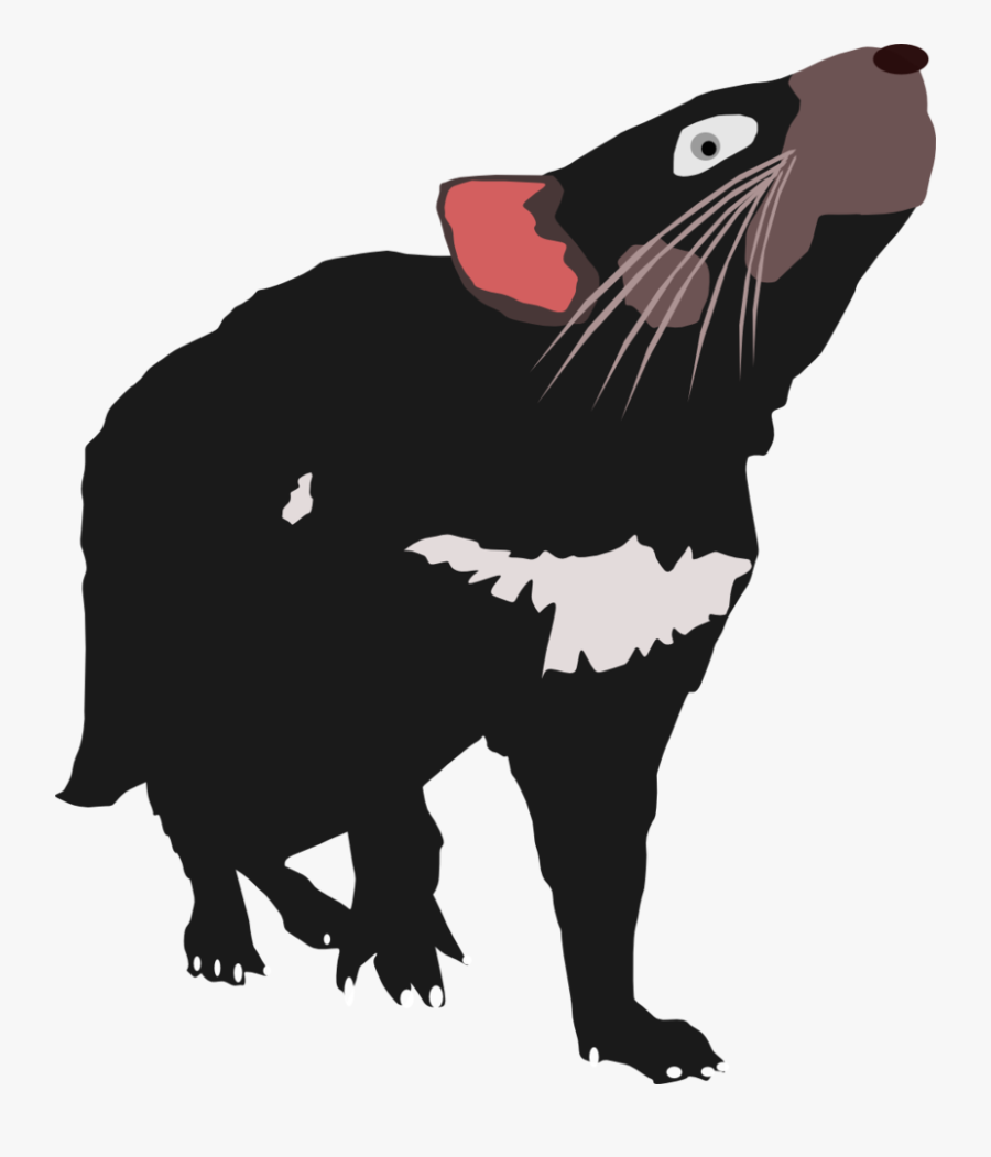 Tasmanian Devil Vector - Illustration, Transparent Clipart