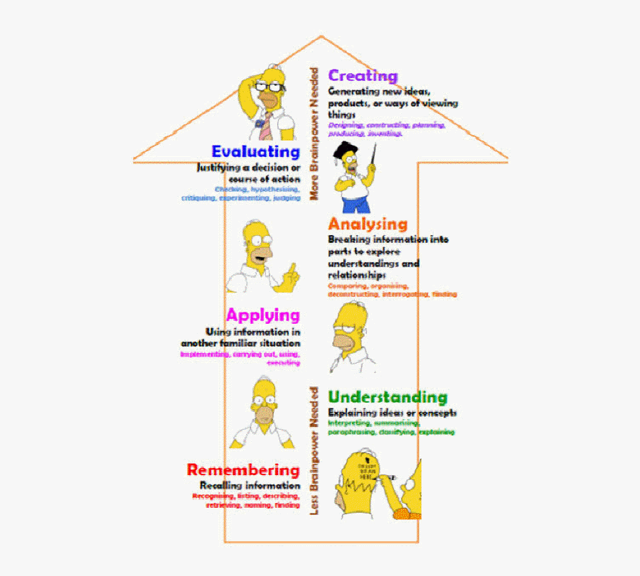 Instructions For Writing A Critical Thinking Essay - Simpsons Taxonomy, Transparent Clipart
