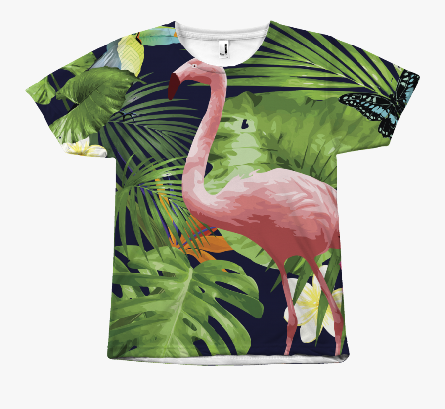 Greater Flamingo, Transparent Clipart