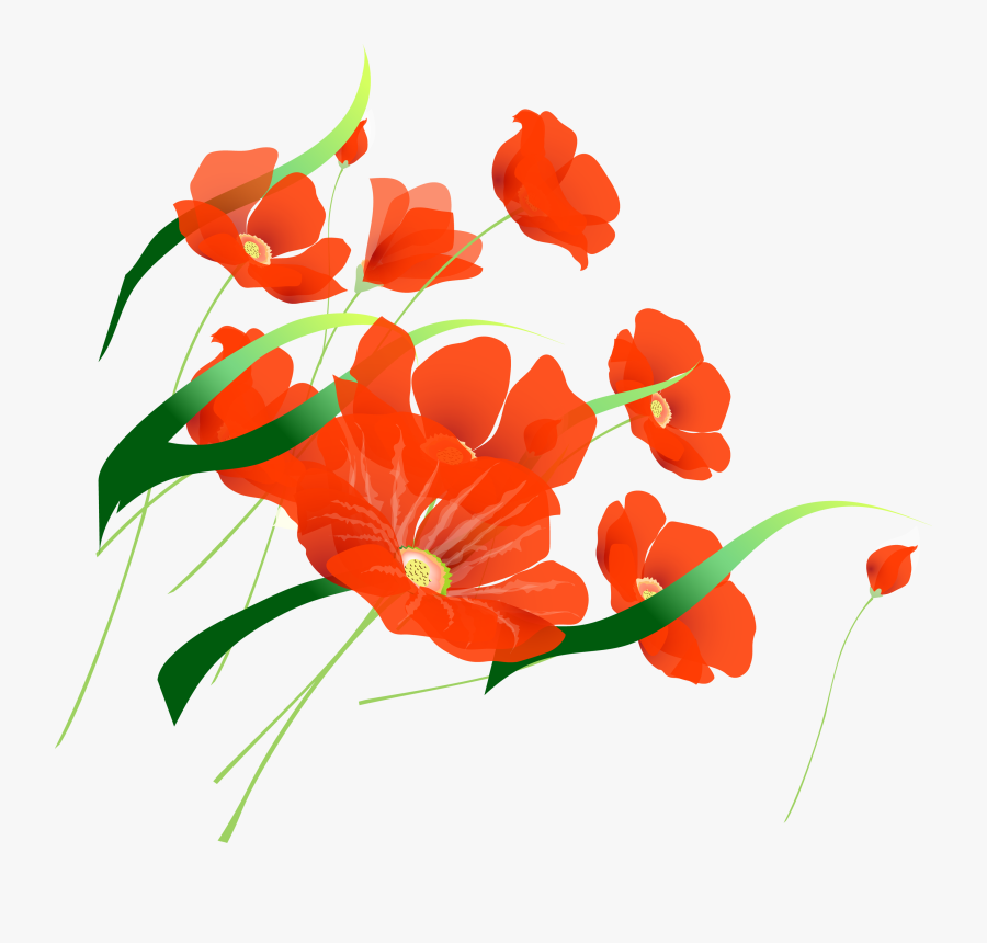 Flor Png Fondo Transparente, Transparent Clipart