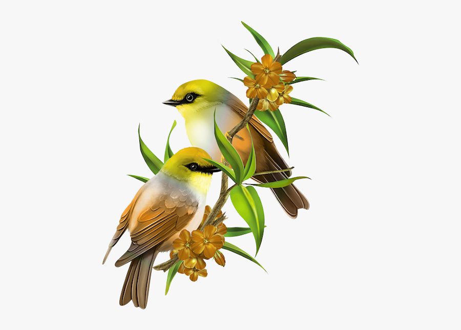 Good Morning Wednesday, Transparent Clipart