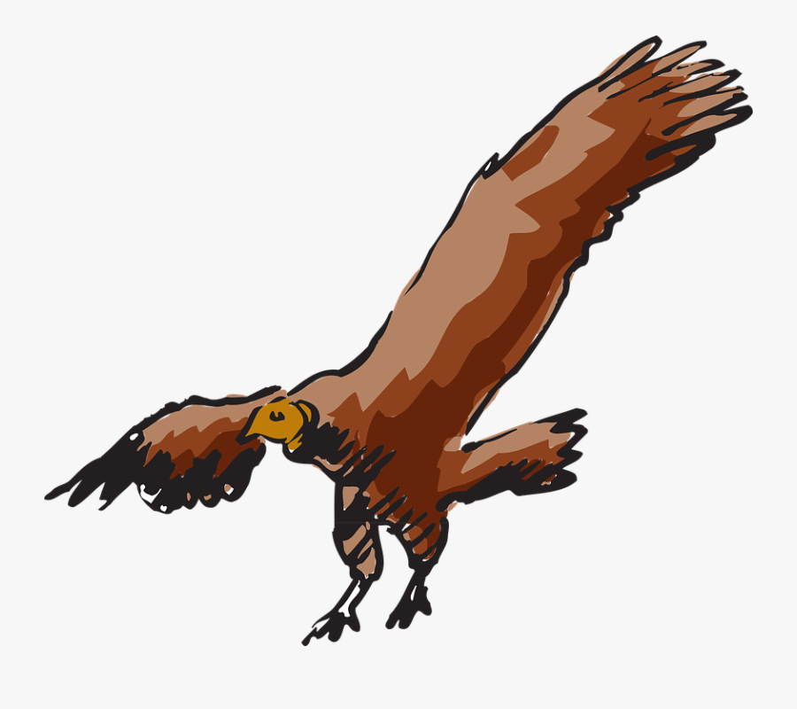 Flying Hawk Clipart 13, Buy Clip Art - Flying Vulture Clipart, Transparent Clipart