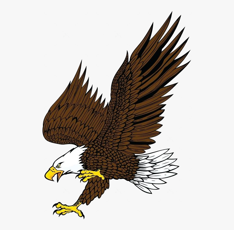 Eagle Clipart Bald Attack By Animals Characters Images - Eagle Drawing With Colour, Transparent Clipart