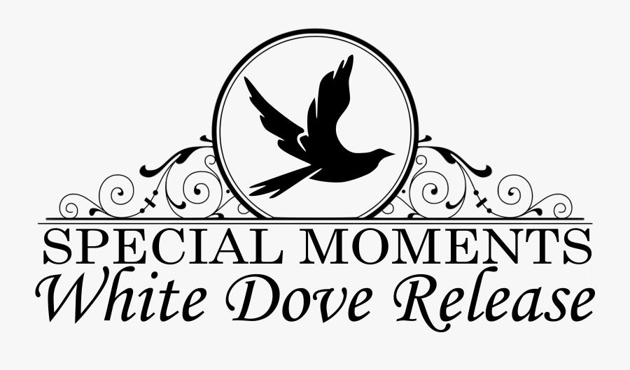 Doves Clipart Twig, Transparent Clipart