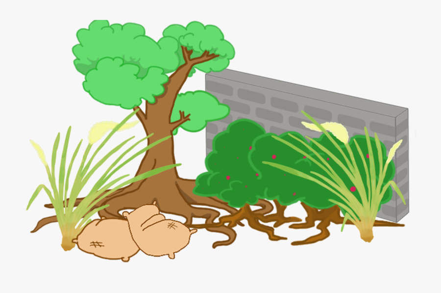 Picture, Transparent Clipart