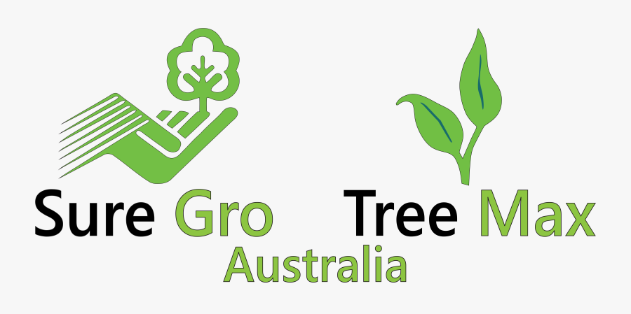 Transparent Tree Background Png - Erosion Control, Transparent Clipart