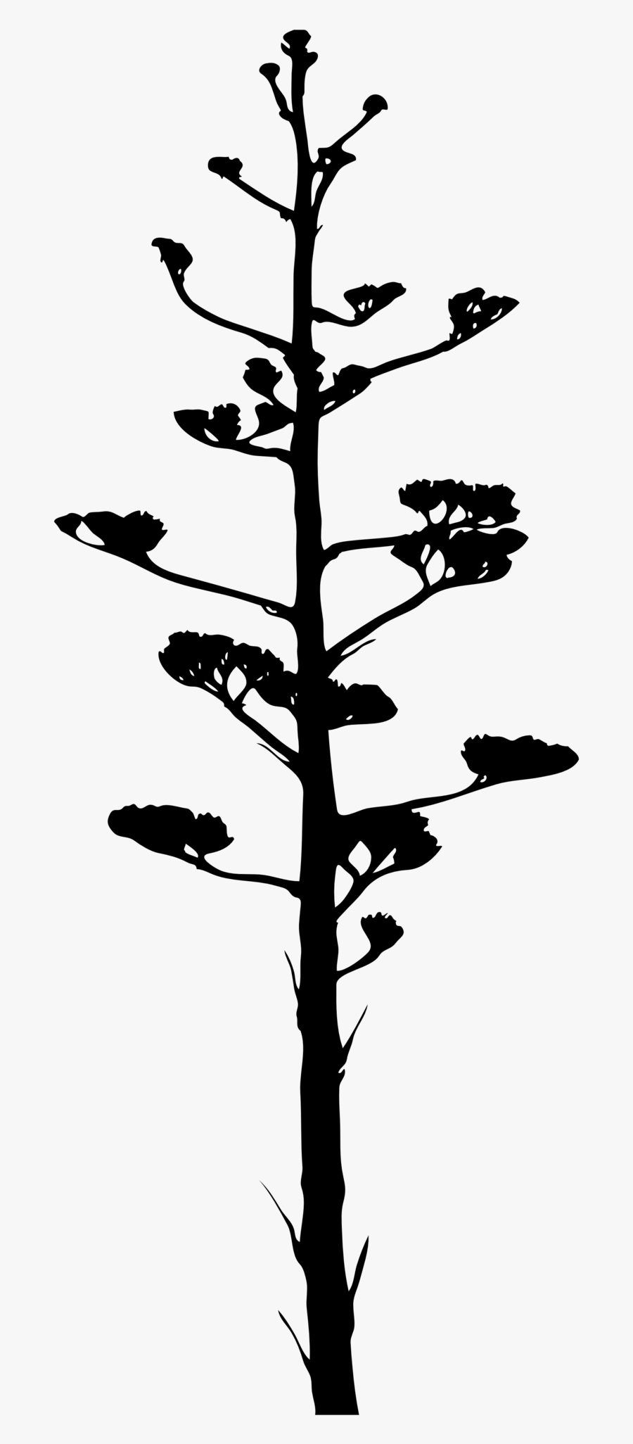 Agave Plant Silhouette, Transparent Clipart