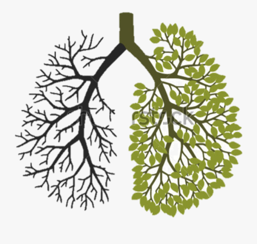 Free Powerpoint Templates Lung, Transparent Clipart