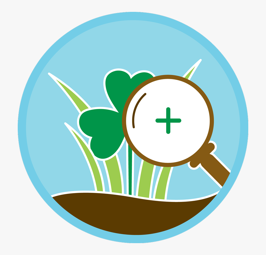 Clip Art, Transparent Clipart