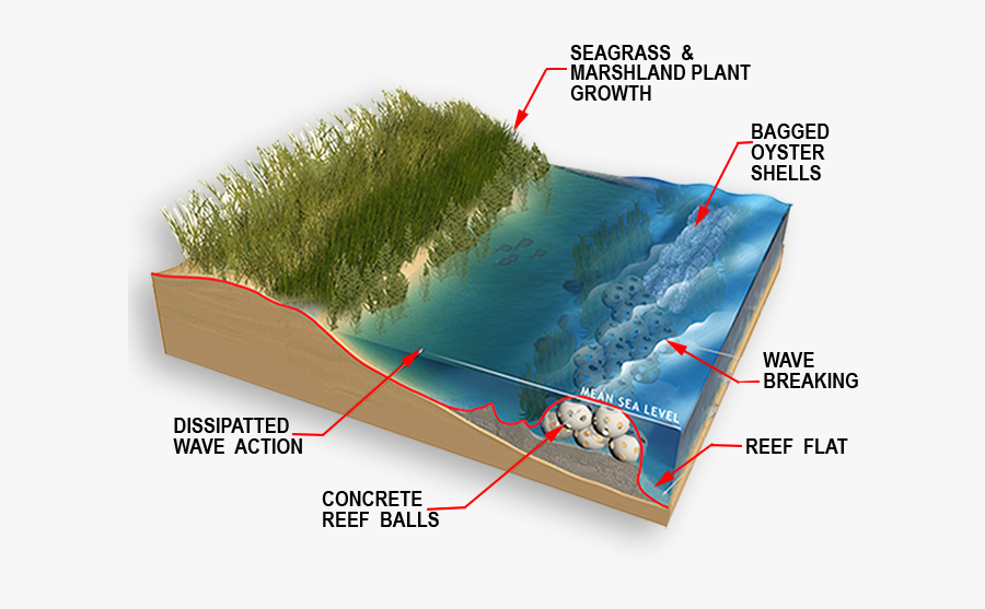 Before Storm Diagram - Grass, Transparent Clipart