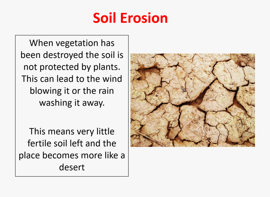 Drought, Transparent Clipart