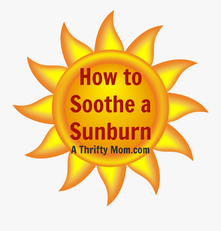 Aloe Vera Plant - Clipart Suns, Transparent Clipart