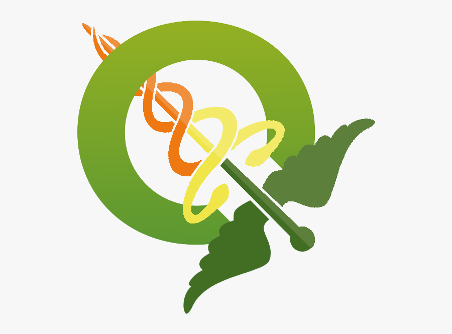 Medical Symbol, Transparent Clipart