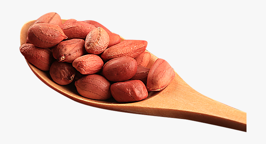 Peanut Png - Peanut, Transparent Clipart