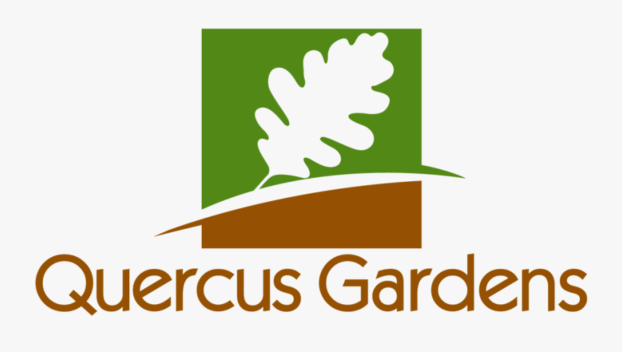 Pass The Ball To Mvp Russell Westbrook For Your Choice - Graphic Design, Transparent Clipart