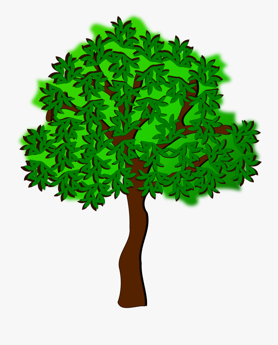 Plant,leaf,tree - Natur Und Technik Clipart, Transparent Clipart