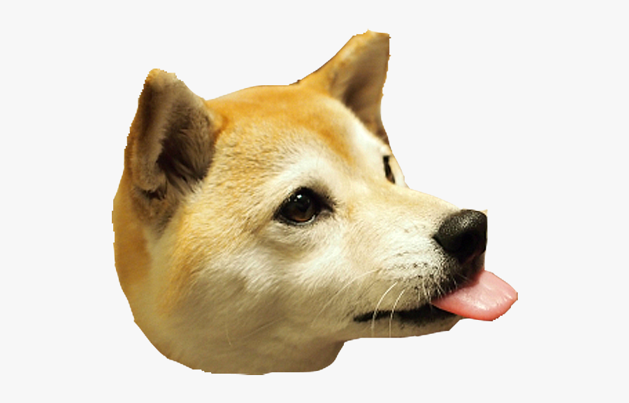 Clip Art Dog Head - Dog Head Png, Transparent Clipart