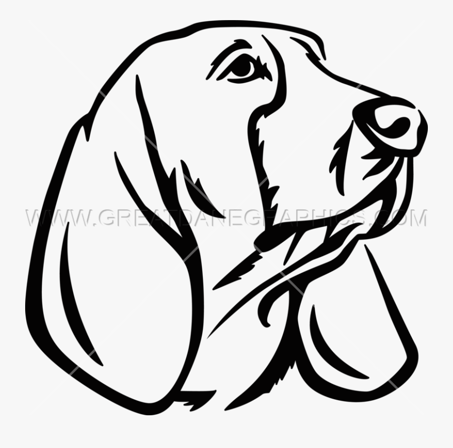 Basset Hound Clipart Head - Basset Hound Drawing Easy, Transparent Clipart