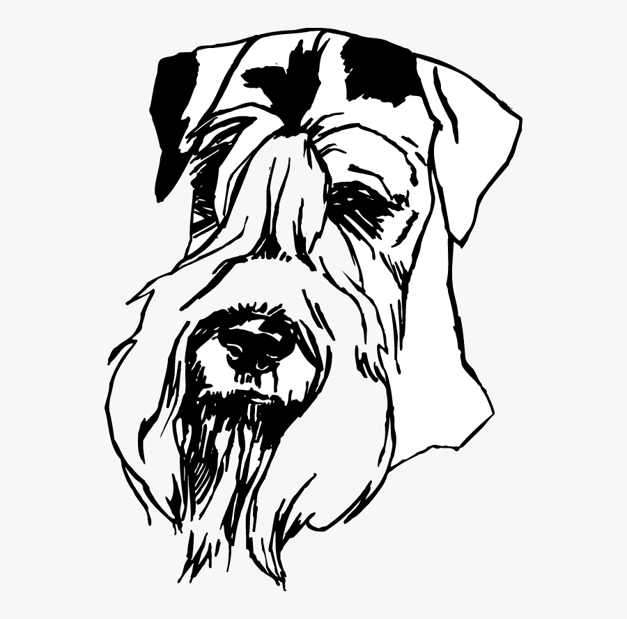 Airedale Terrier, Transparent Clipart