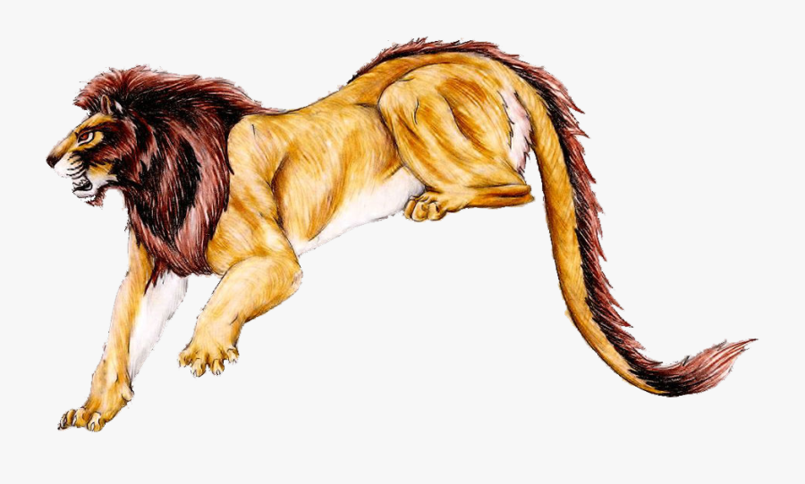 Collection Of High Quality Free Cliparts - Masai Lion, Transparent Clipart