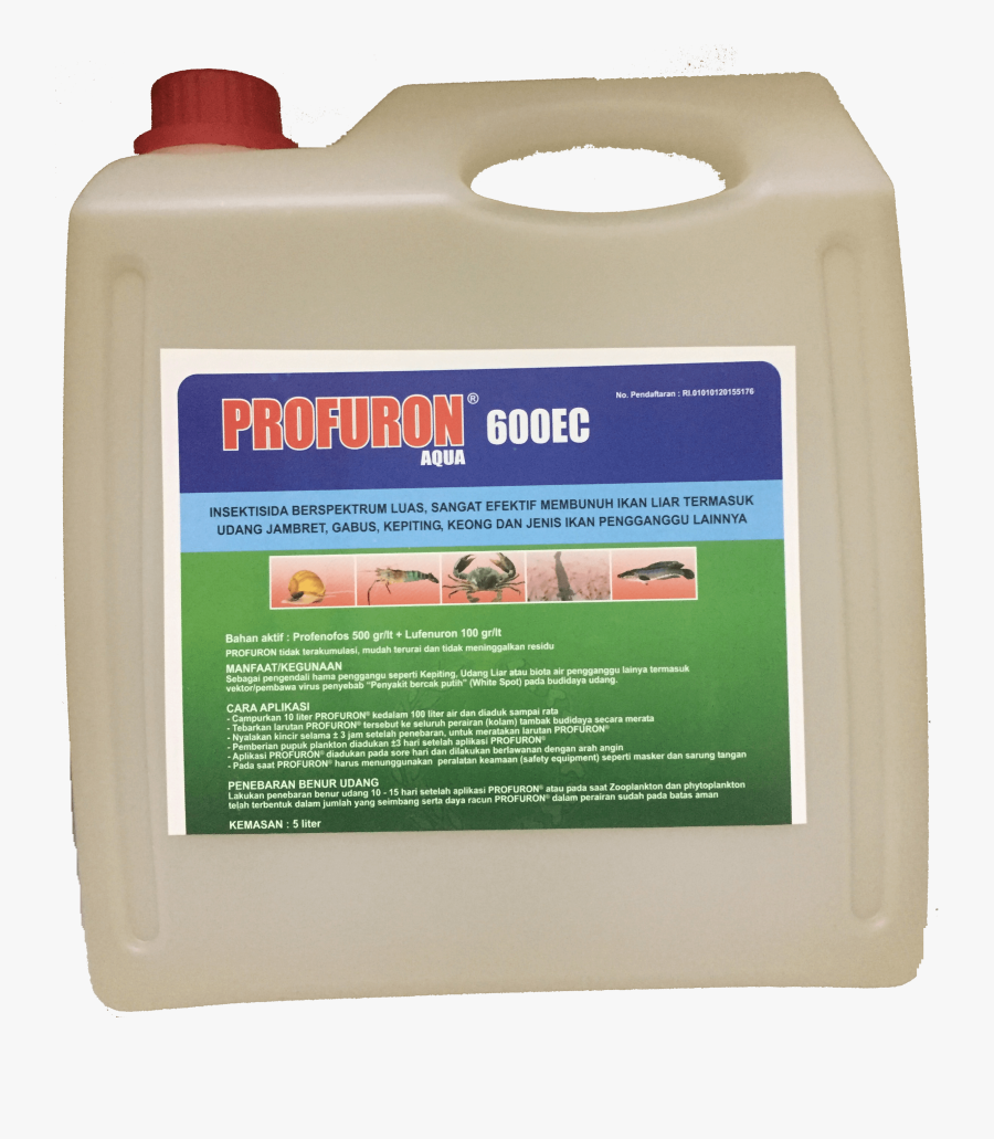 Transparent Kolam Clipart - Carpenter Ant, Transparent Clipart