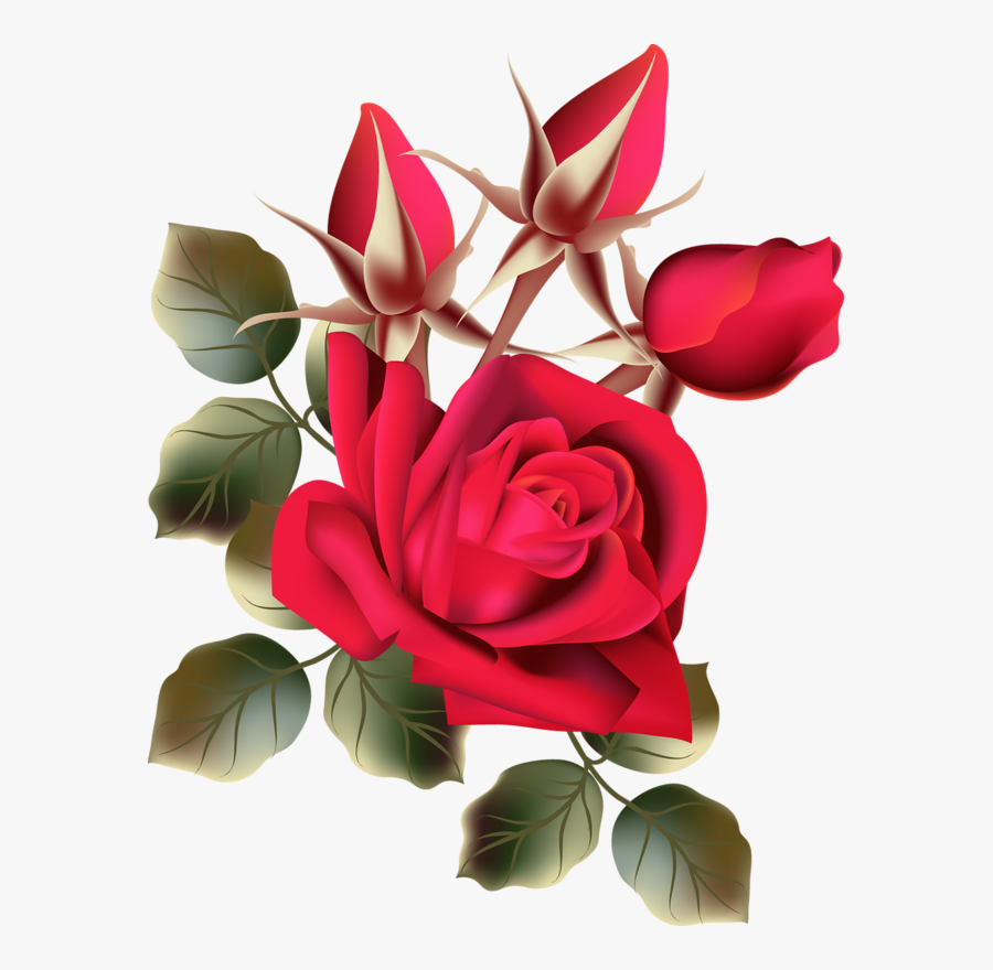 Image Du Blog Zezete2 - Rose Good Morning Images Hd, Transparent Clipart
