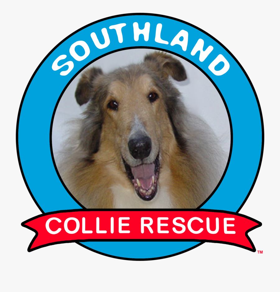 Clip Art Black And White Stock Southland Collie Rescue - Church Of England Reader, Transparent Clipart