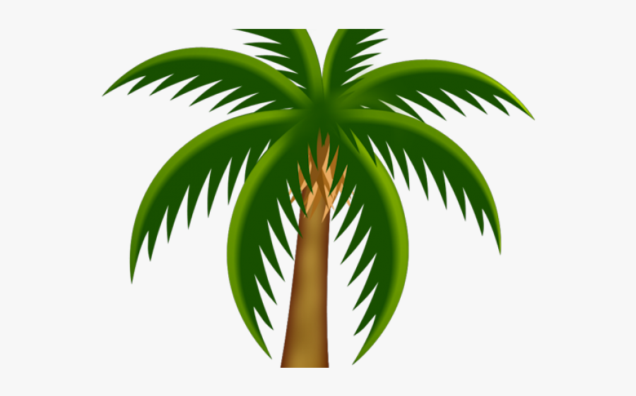Palm Tree Clip Art, Transparent Clipart