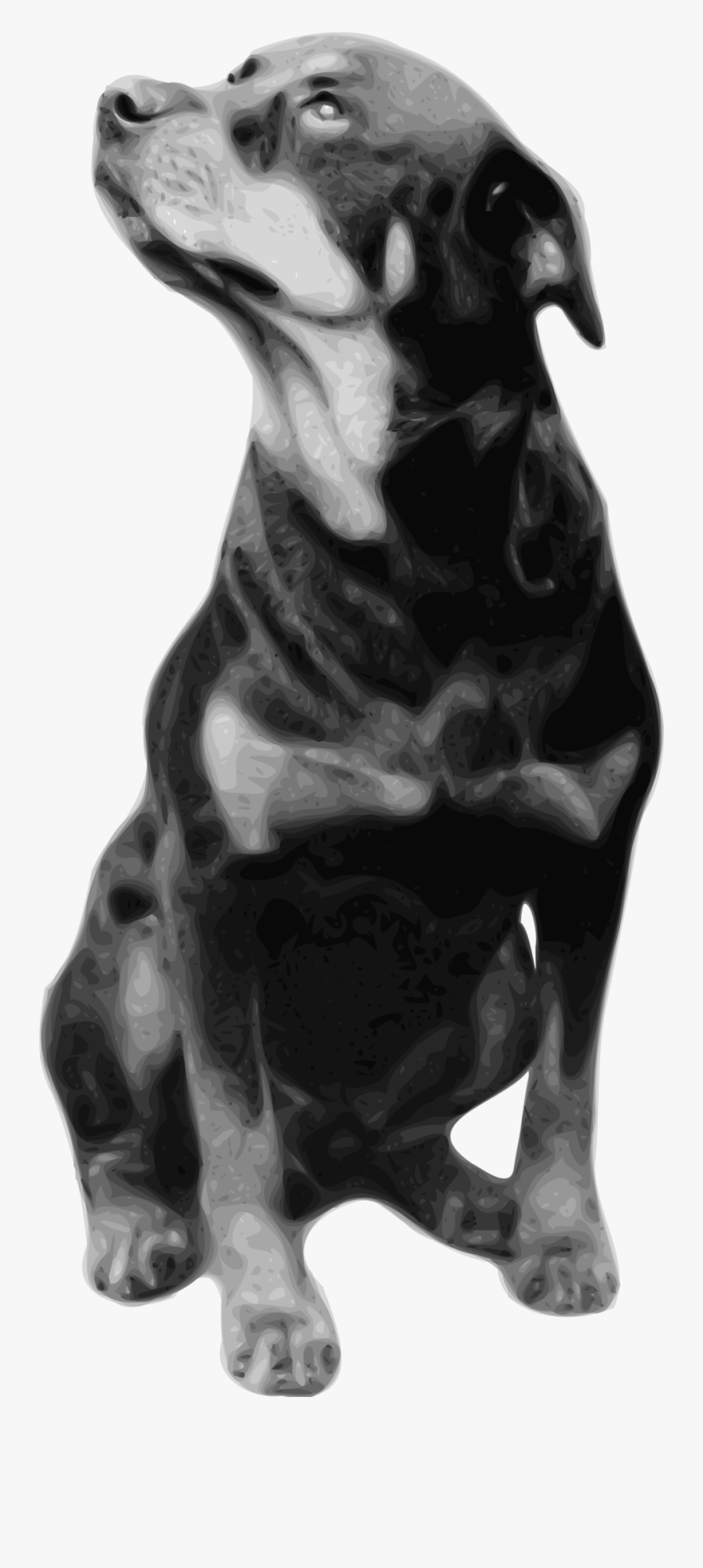 Quotes For Rottweilers, Transparent Clipart