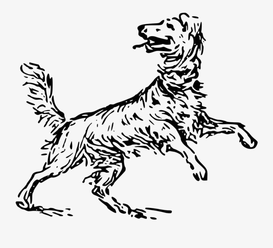Monochrome Breed - Dog, Transparent Clipart