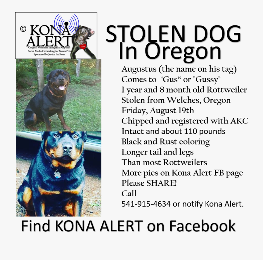 Carlisle College, Transparent Clipart