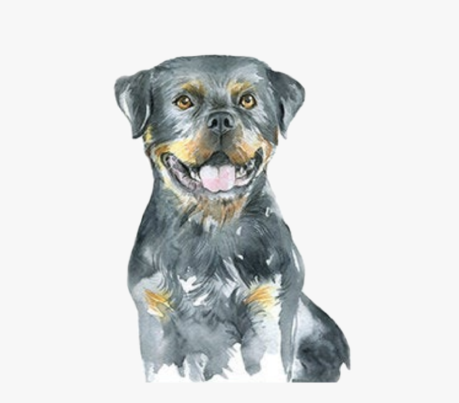 Watercolor Puppy Dog Rottweiler Babyanimals Freetoedit - Rottweiler, Transparent Clipart