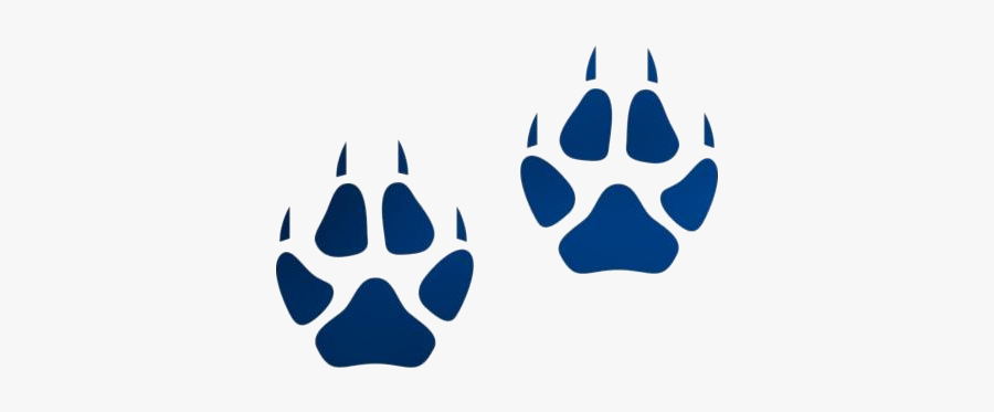 Animal Footprint Png Transparent Images - Arctic Fox Footprint, Transparent Clipart