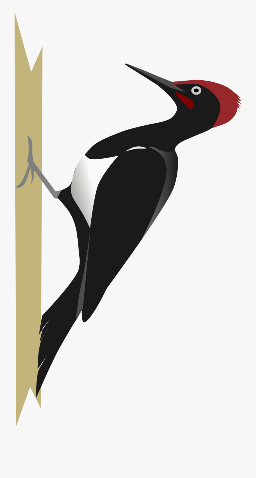 Woodpecker Png - Woodpecker Svg, Transparent Clipart