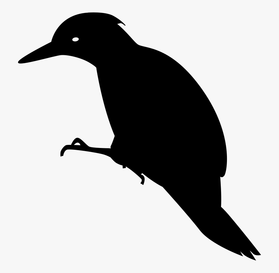 Photography - Ivory Billed Woodpecker Silhouette, Transparent Clipart