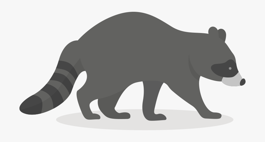 Puma, Transparent Clipart