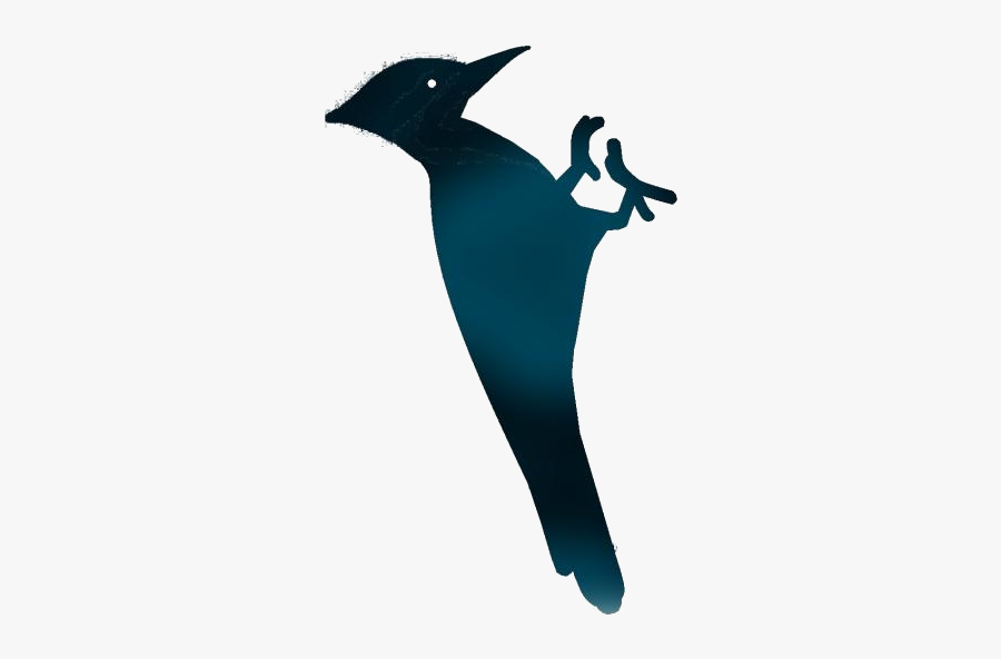 Woodpecker Clipart Png Transparent Images - Illustration, Transparent Clipart