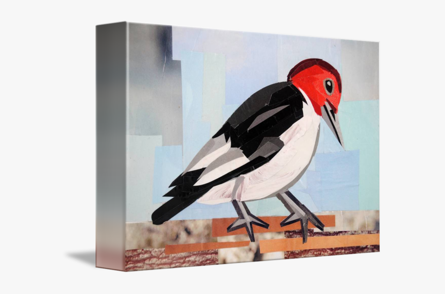 Clip Art Carpenter Bird - Red Headed Woodpecker, Transparent Clipart