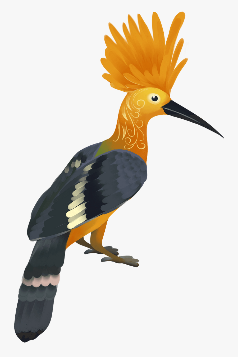 Hornbill, Transparent Clipart